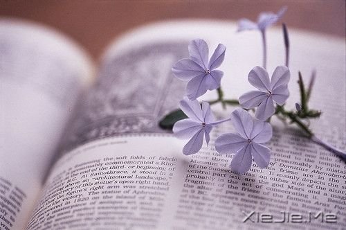 �簲�������ס�����ڮ�٣��;���ס�������� (8)