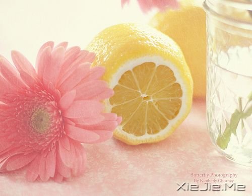 �簲������Լ������������Ŀ�ʼ (8)